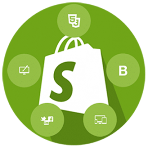 Shopify Store Design - Basic